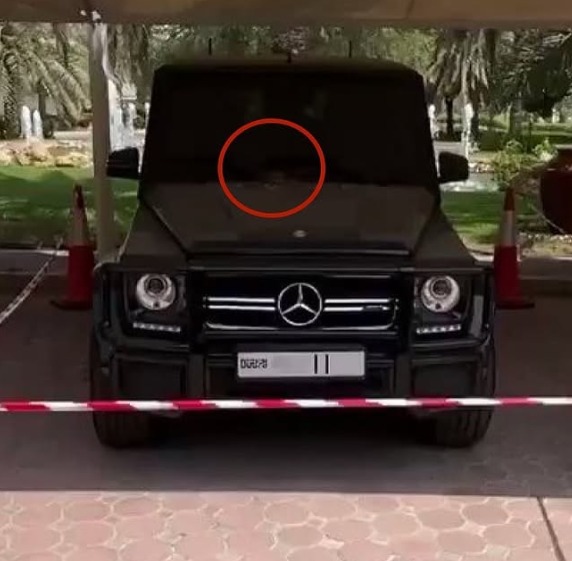 Crown Prince of Dubai Gives Up His G-Wagon with Plate '11' for a Nesting Pigeon